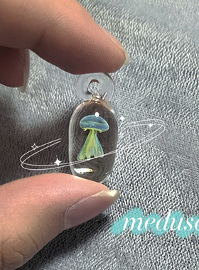 大海又一次寄来了漂亮礼物