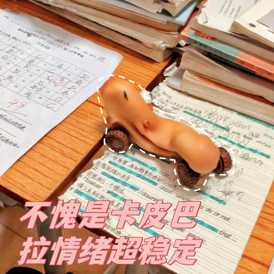 创意可爱解压玩具水豚拉拉车