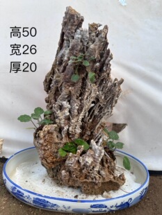 纯天然上水石钟乳石吸水石假山盆景鱼缸造景石天然芦管石