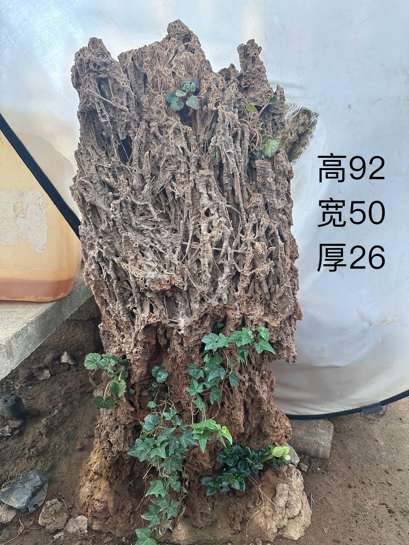 天然芦管石上水石石钟乳石原石大型盆景吸水纯天然山水园林组合