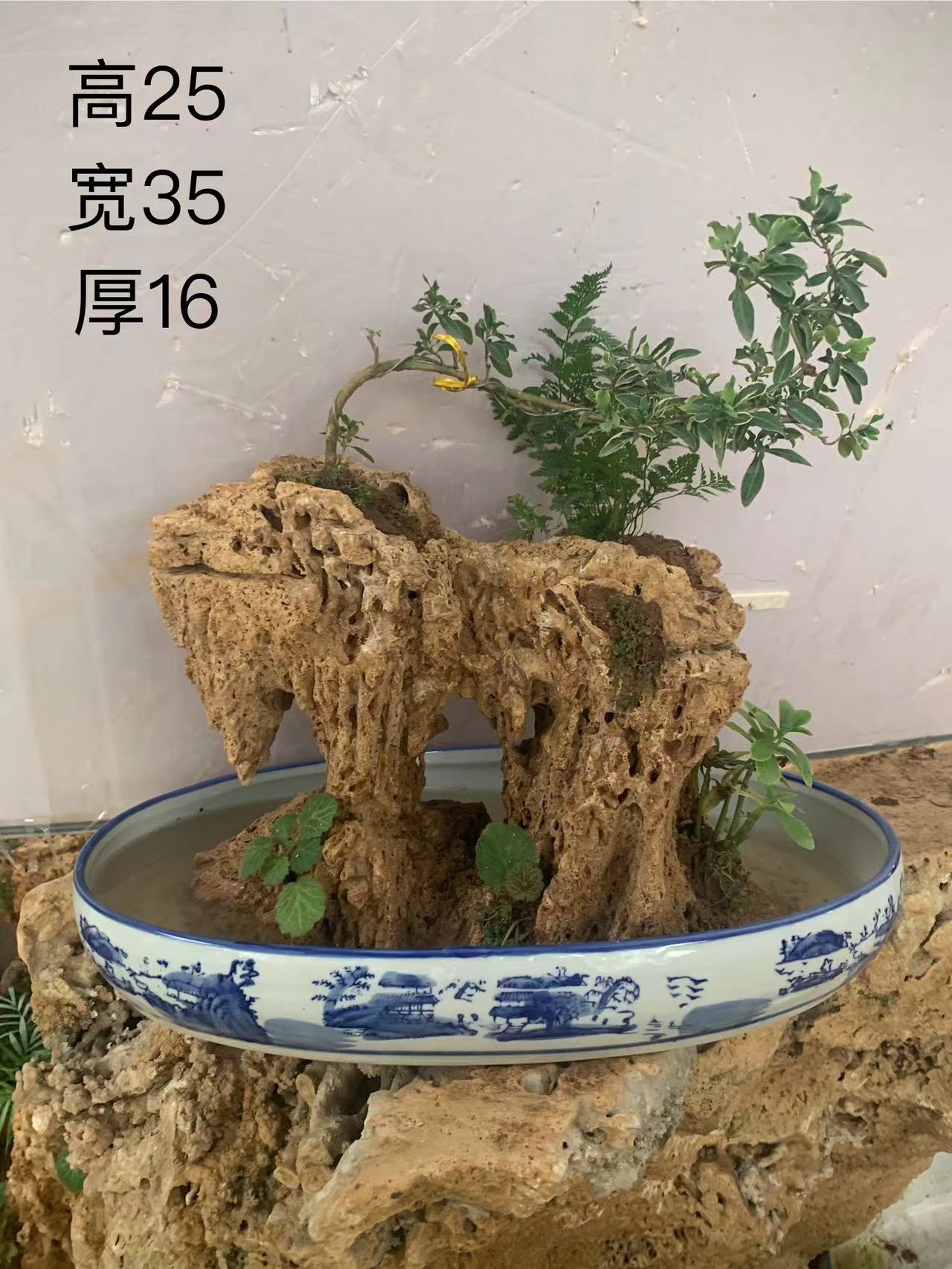 天然吸水石盆景奇石大块吸水石假山原石观赏石微景观园石芦管石