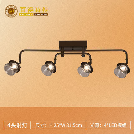 百得诗特美式工业壁灯吸顶灯铁艺合金现代LED射灯客厅卧室TBH9014