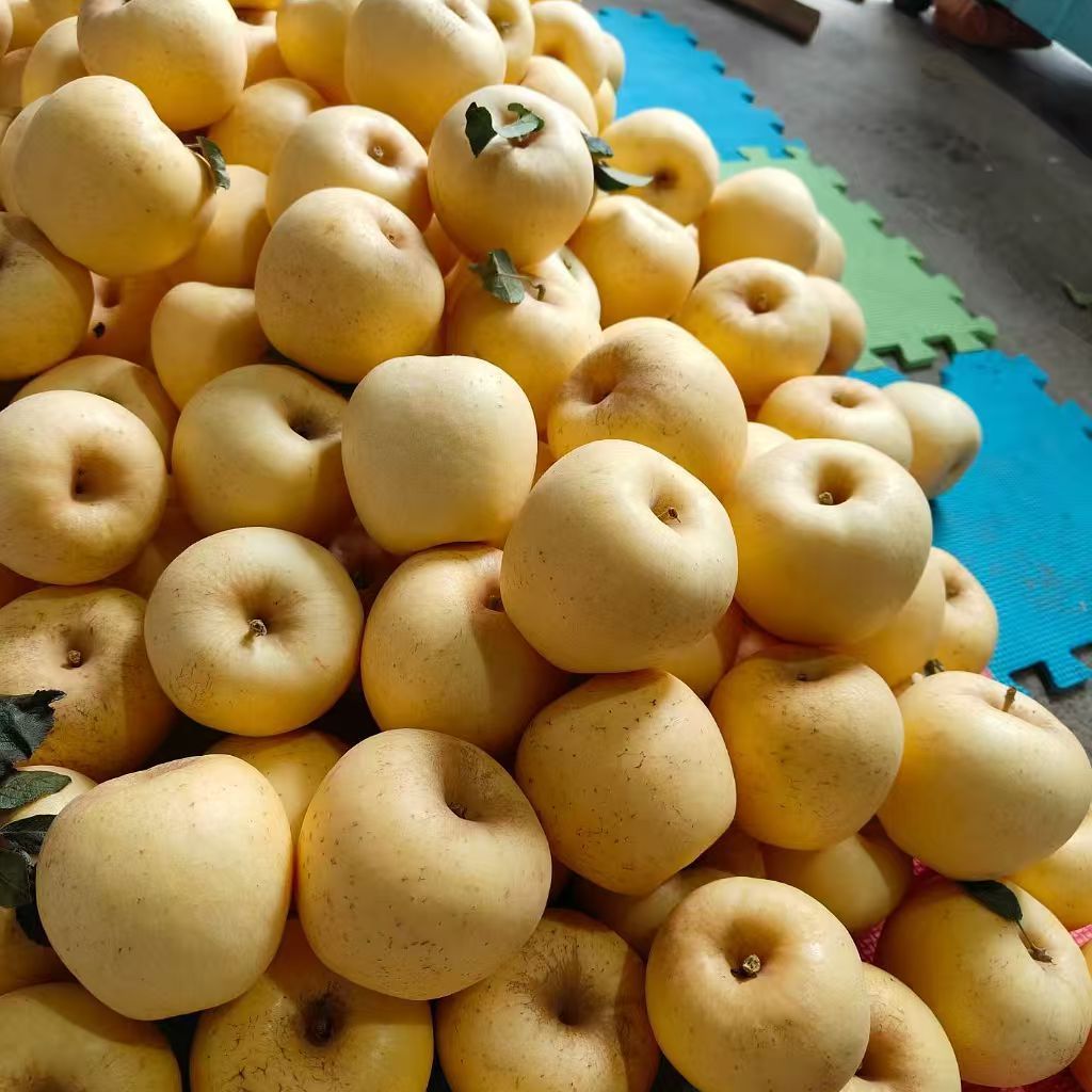 维纳斯黄金苹果新鲜水果当季整箱雀斑果丑苹果