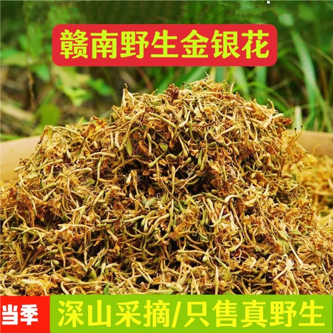 江西赣南真野生金银花农家自晒金银花带绒毛野生干金银花