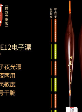 阿卢专卖店夜光漂LPE12日夜两用