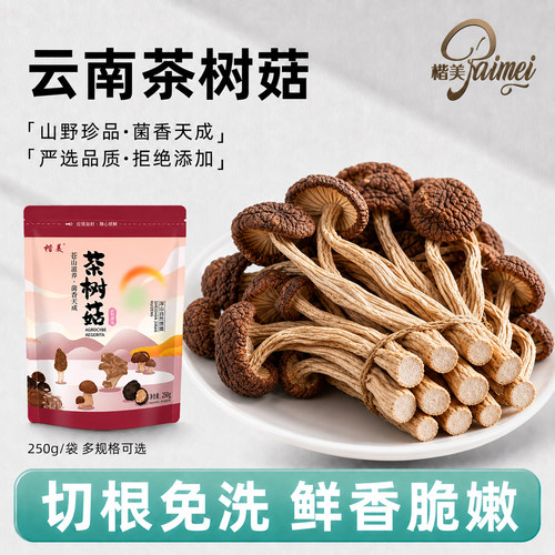 楷美云南茶树菇不开伞甄选净重