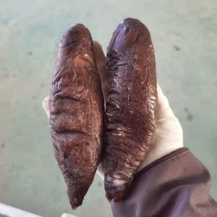 海参水发海参皮海鲜水产品干货包邮解冻洗净切片食用