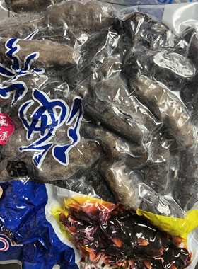 大连海参迷你小辽参500g40-50只装包邮海鲜水产品