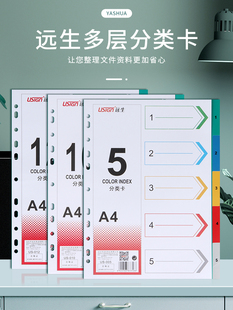 远生12页分类纸10色纸质索引纸5色塑料隔页分页纸11孔PP彩色10页21页31页文件档案标签分页