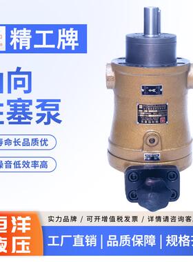 新款精工牌5/10/25/32/40/108/160/250/400SCY14-1B轴向柱塞包邮