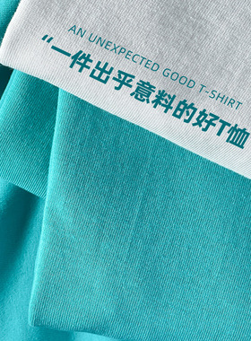 Women Basic T-shirt Heavy t shirt Men提夫尼蓝色270g重磅