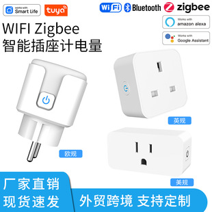 Outlet Monitor WiFi Power 20A 16A Socket Plug Smart Tuya