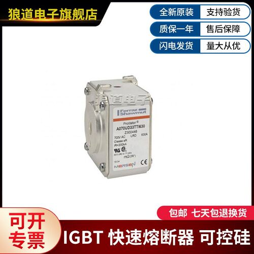 A070UD33TTI630 Z300448法国美尔森法雷罗兰快速熔断器690V 630A