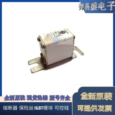 美国BUSSMANN熔断器170M4208 170M4209 170M4210 170M4211