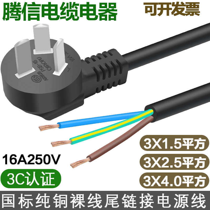 国标16a大功率插头电源线