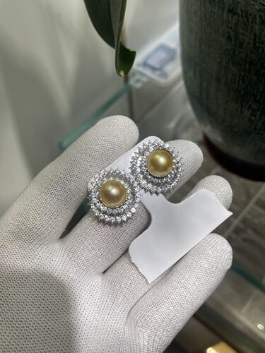 浓金11～12mm亮金色南洋金珠耳钉 精工s925镶嵌