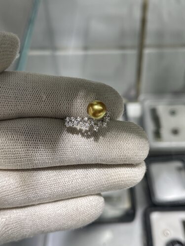 超美7～8mm变态金南洋金珠戒指 繁星款式设计  18k培育钻石