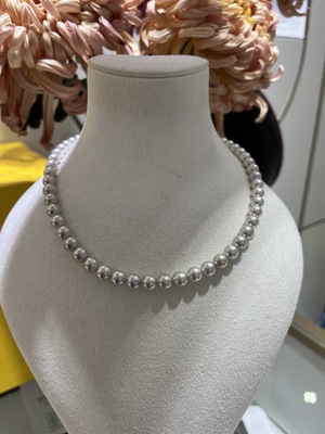 新品7～7.5mm真科研bluerose蓝玫瑰 真多麻落选品质