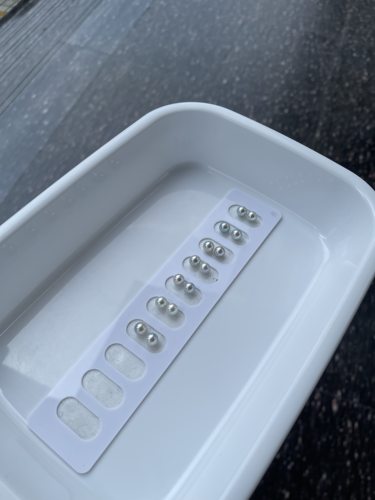 天然色7～7.5mm海水akoya真多麻
