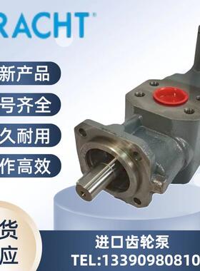 新款克拉克 齿轮泵KF25 RF2-D15 D-58791,KF6 RF 2 G15包邮