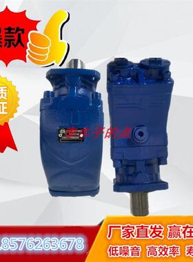 新款意大利PZB斜轴柱塞泵Y60/84R 64R 317008422W0环卫钩臂车包邮