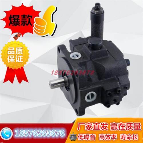 新款变量叶片泵 VD2-30FA3台液压油泵VD2/VE2-40FA4/40FA3/30包邮