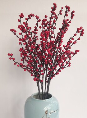 插花新年家居客厅发财果