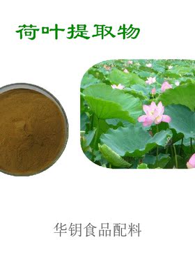 荷叶提取物植物提取物荷叶黄酮