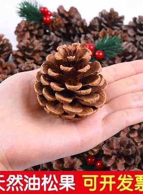 天然松果松塔干树枝原木干花幼儿园装饰挂饰环创布置儿童手工材料