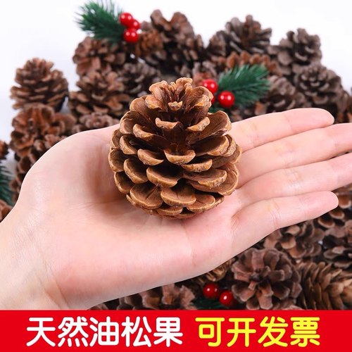 天然松果树枝原木干花幼儿园装饰