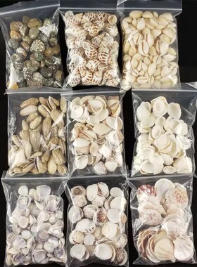 DIY材料天然小海螺贝壳 100克1袋 微景观批发鱼缸造景地中海摆件