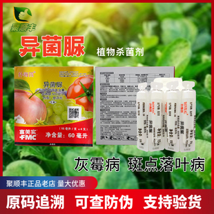 富美实扑海因 异菌脲 60ML 灰霉病 早疫病 斑点落叶病杀菌剂农药