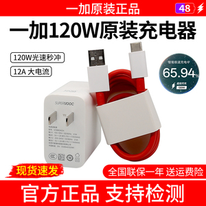 一加120w充电器原一加Ace6充电器