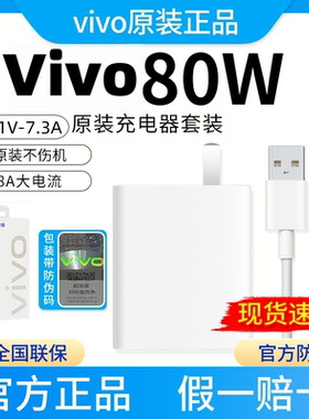 vivo80W闪充套装S19充电器/S19Pro/S18/Pro/S18e/S17S17tX100Utrla原装手机充电器 XFold311V/7.3A原配IQOOZ9