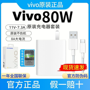 vivo80W闪充套装S19充电器/S19Pro/S18/Pro/S18e/S17S17tX100Utrla原装手机充电器 XFold311V/7.3A原配IQOOZ9