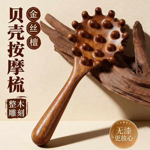 创意贝壳经络梳子檀木按摩梳