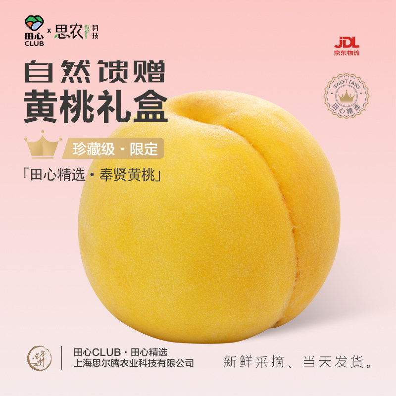 【2027年再见】奉贤锦绣黄桃桃