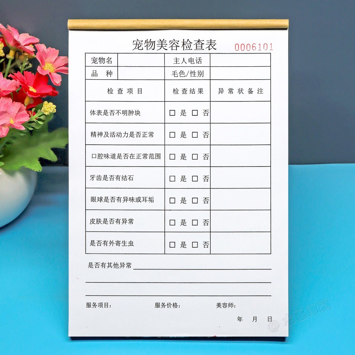 宠物美容健康检查项目记录表体检诊断表定制洗澡护理洗护服务单据