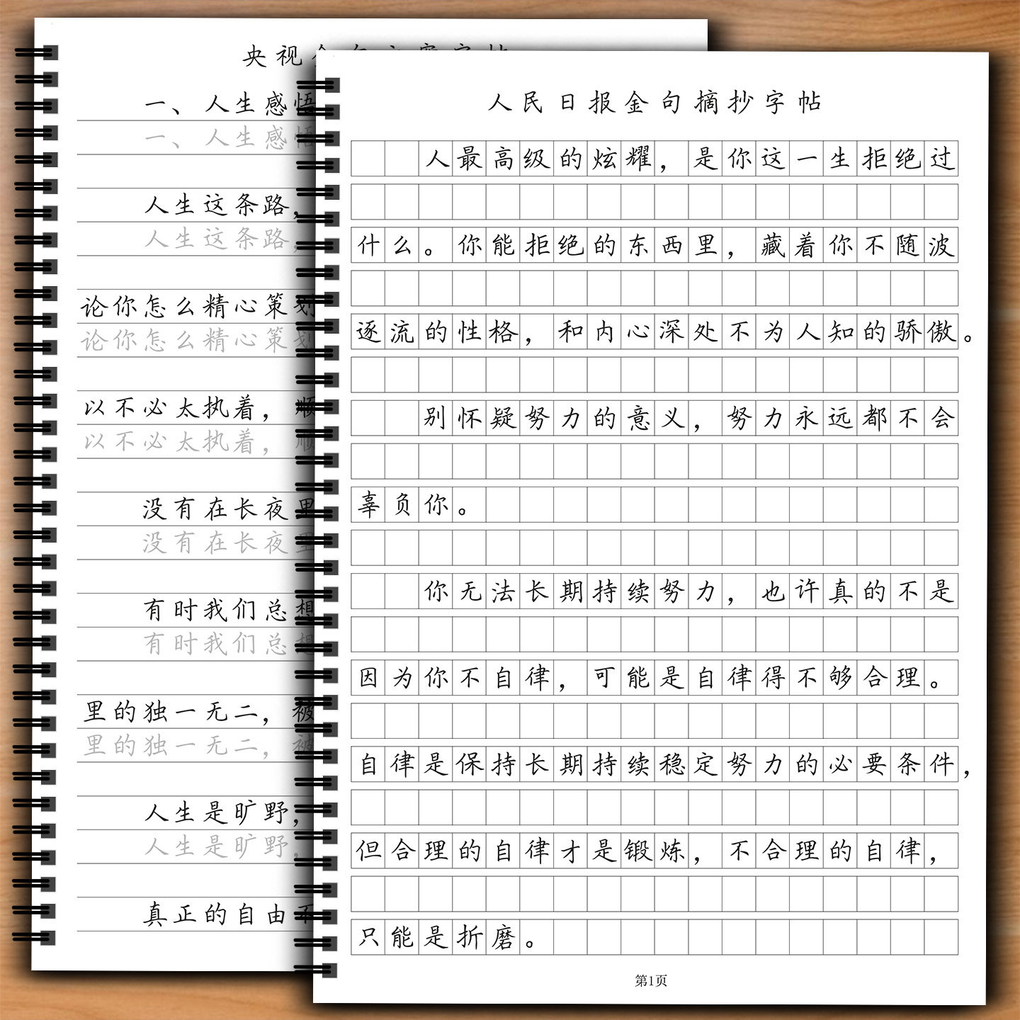 人民日报金句摘抄练字帖楷书行楷控笔训练写作作文素材美文描写帖