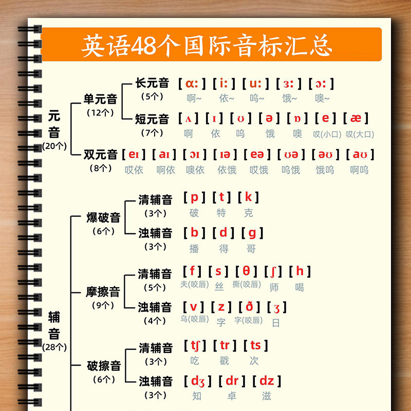 小学通用版英语48国际音标每日打卡彩色小纸条28天含答案拼读汇总 - 实物图