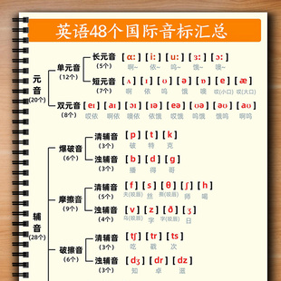 小学通用版英语48国际音标每日打卡彩色小纸条28天含答案拼读汇总
