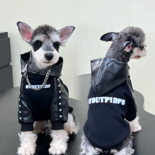 雪纳瑞衣服 拼色铆钉连帽卫衣 宠物猫狗衣服 秋冬纯棉加绒保暖时尚