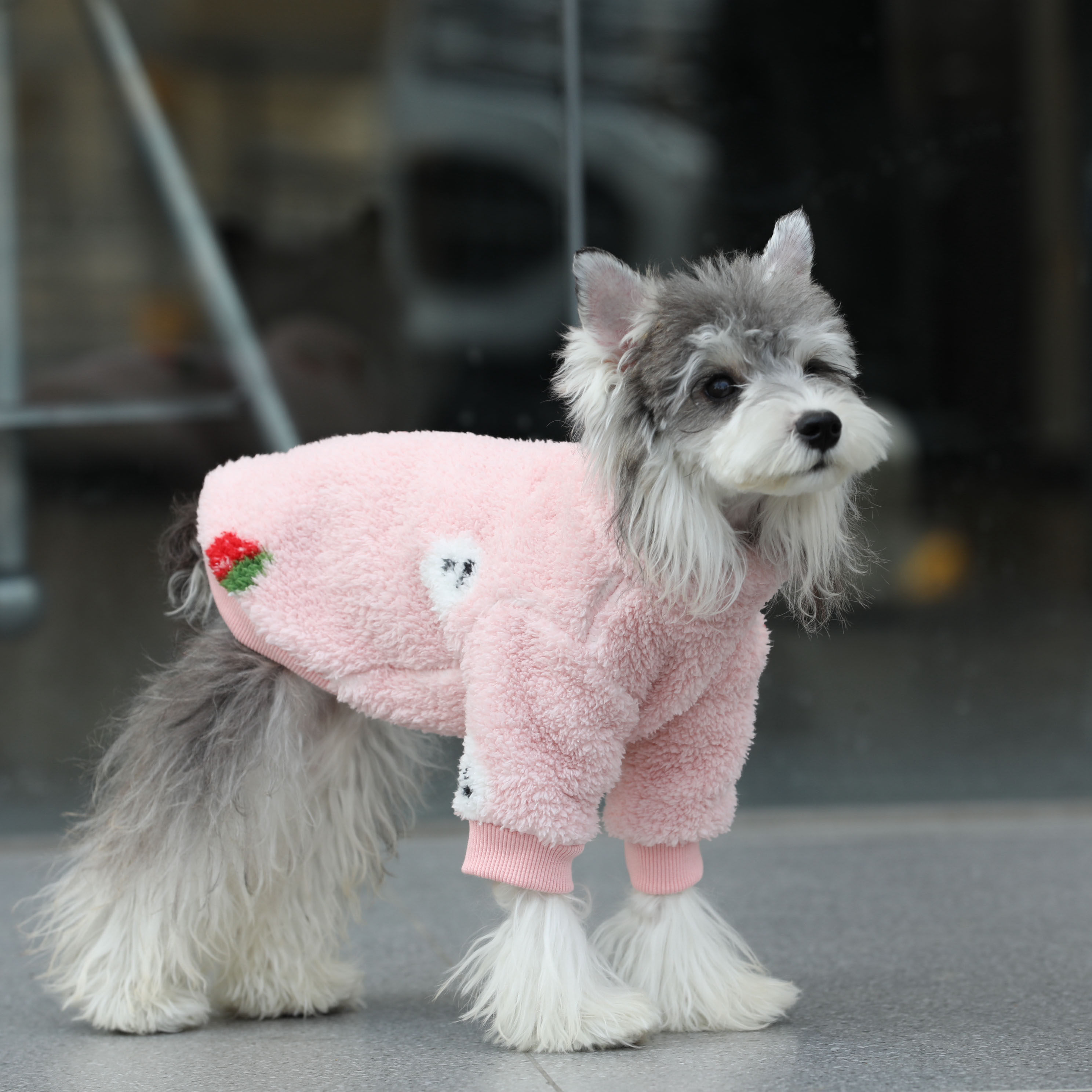 宠物猫狗衣服 秋冬卡通保暖珊瑚绒卫衣 中小大型犬雪纳瑞衣服,宠物/宠物食品及用品,猫宠物服装/雨衣（新）,淘宝优惠券,粉丝福利购,淘宝优惠卷