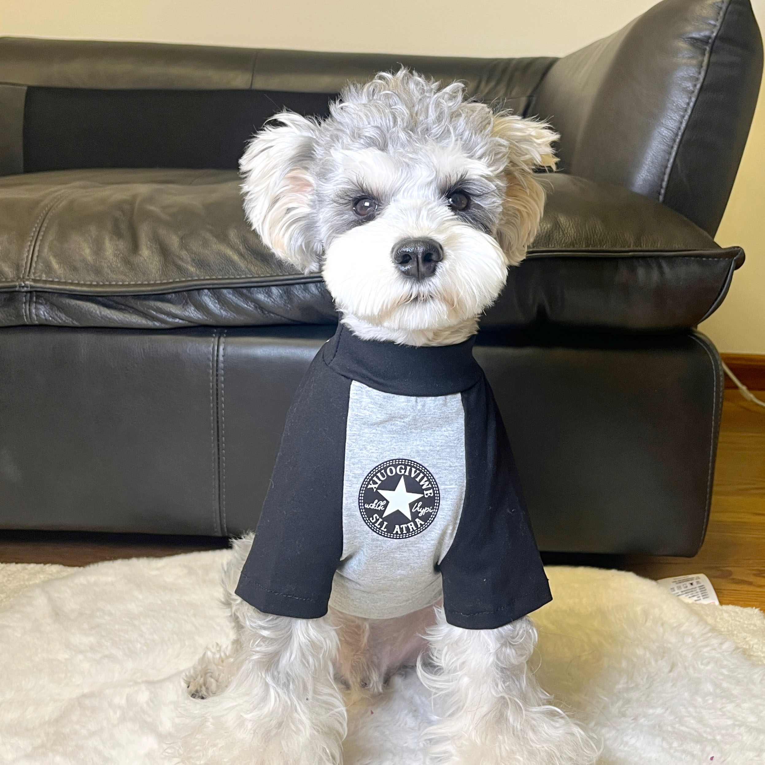 宠物猫狗衣服 夏季纯棉透气灰拼黑五星T恤 室内防掉毛 中小大型犬