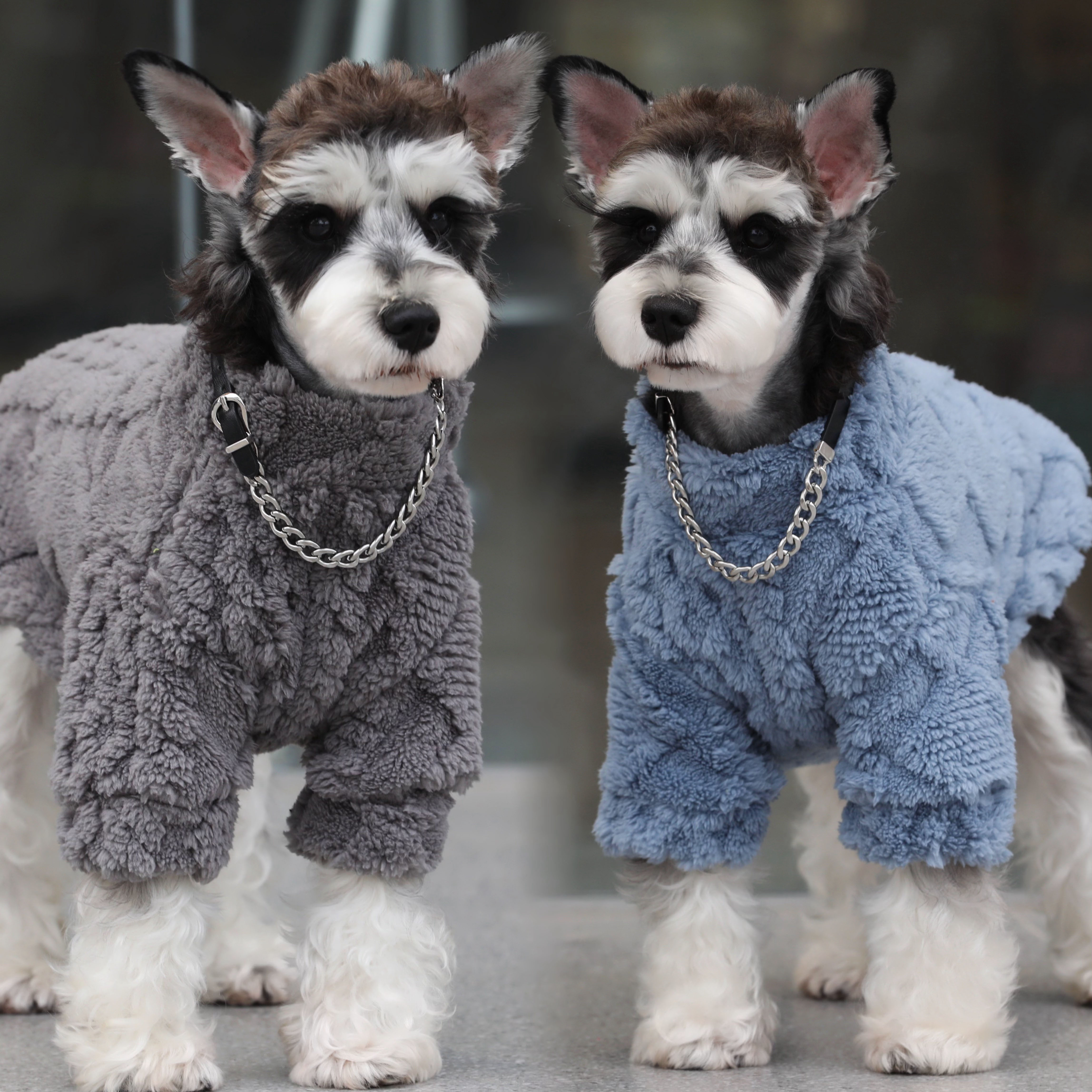 狗狗衣服雪纳瑞比熊泰迪衣服双面加厚狗狗护肚子保暖睡衣冬季衣服