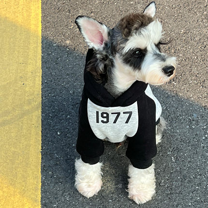 宠物猫狗衣服 秋冬纯棉加绒英伦风拼色1977连帽卫衣雪纳瑞衣服