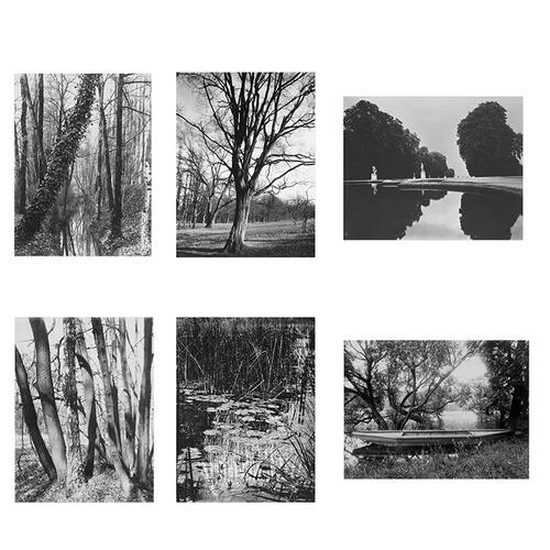 英国风景黑白摄影装饰画