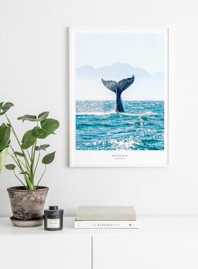 liveart 蓝色系海面鲸鱼海湾北欧原版 客厅卧室装饰画海报