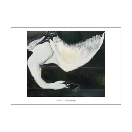 FondationBeyeler白色天鹅海报