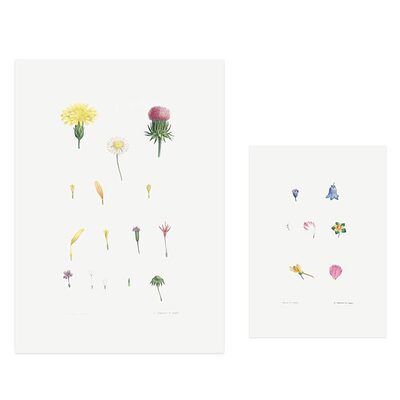 liveart法国画家花卉3画芯海报